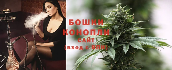 соль ск Гусев