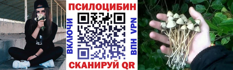 darknet какой сайт  Дубна  Галлюциногенные грибы Magic Shrooms  где продают  